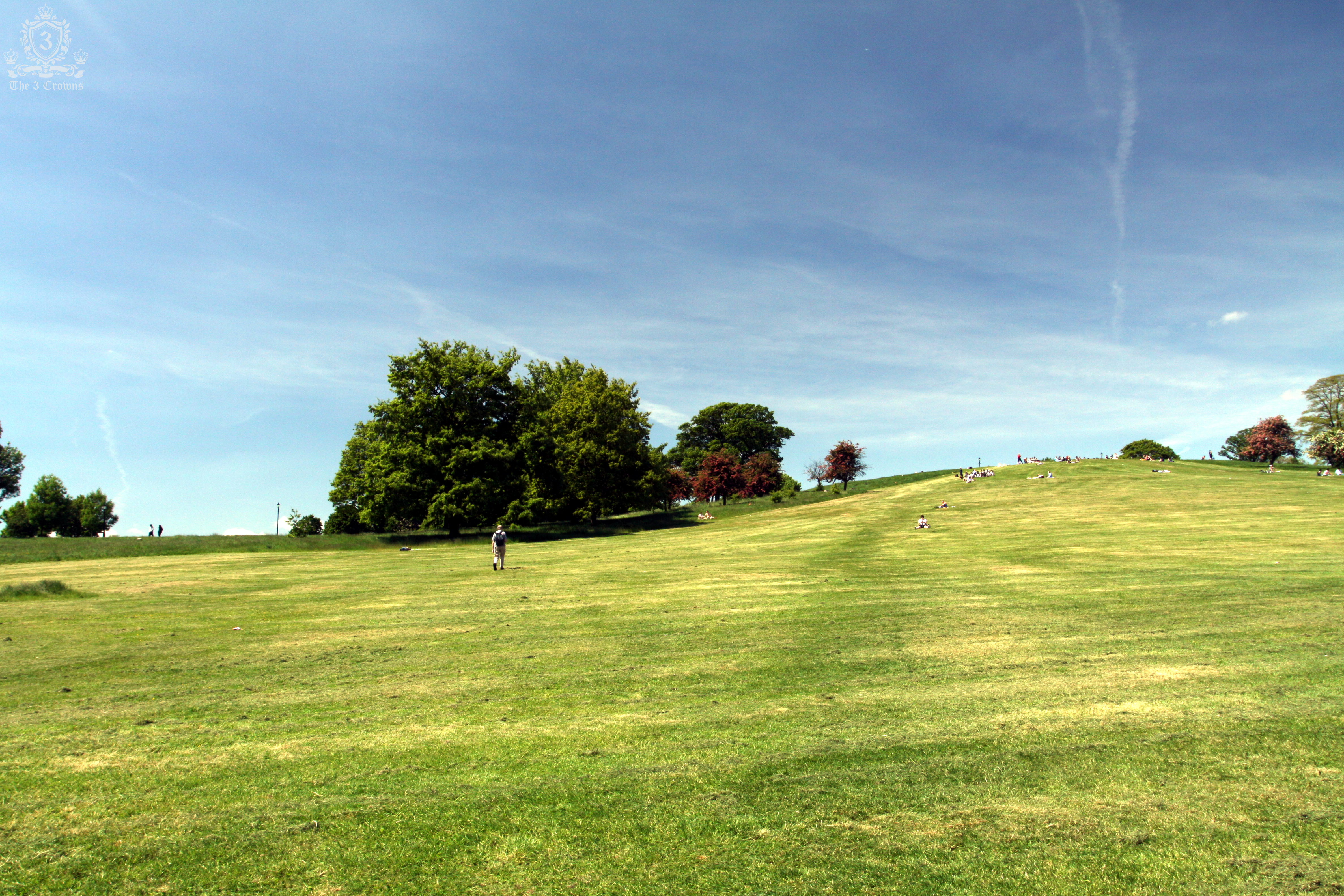 Primrose Hill NW1, NW3, NW8 domestic removals